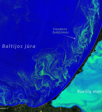 Baltijos jūros vandens žydėjimas matomas iš kosmoso