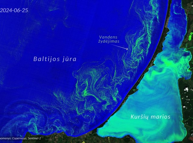 Baltijos jūros vandens žydėjimas matomas iš kosmoso