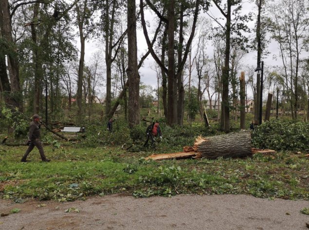 Klimato kaita Lietuvoje: 2024-ieji buvo šilčiausi orų stebėjimo istorijoje, užfiksuoti 2...