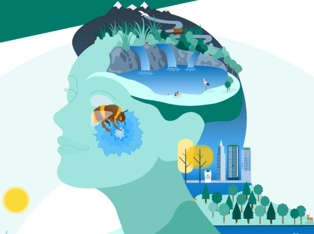 Europos aplinkos agentūra: Lietuva tampa tvirta žaliosios transformacijos proceso dalyve